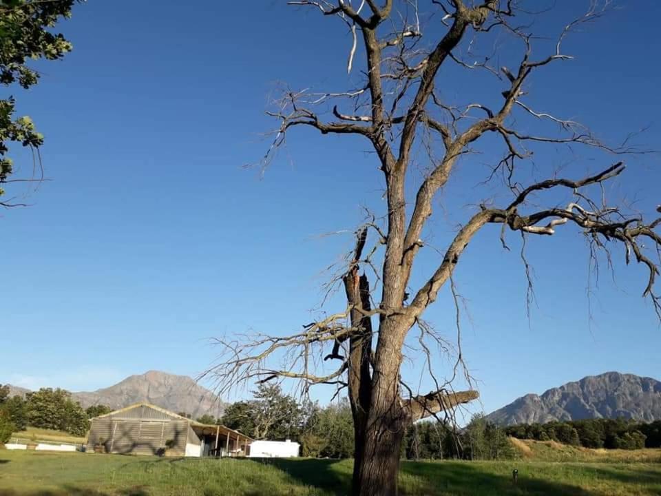 Klipfontein Rustic Farm & Camping Tulbagh Exterior foto