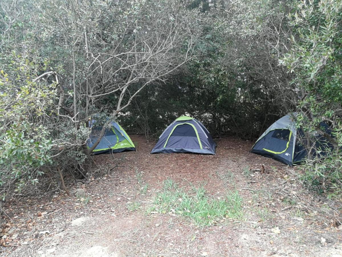 Klipfontein Rustic Farm & Camping Tulbagh Exterior foto