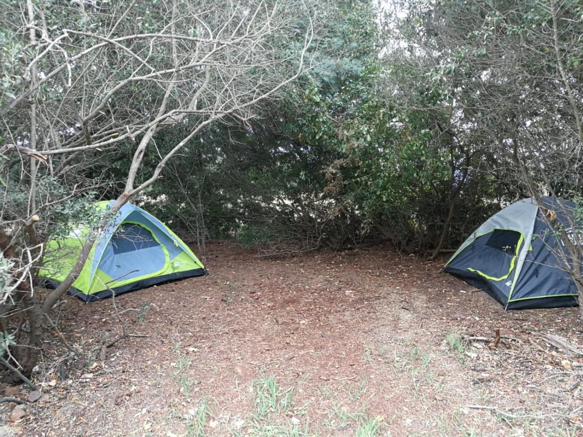 Klipfontein Rustic Farm & Camping Tulbagh Exterior foto